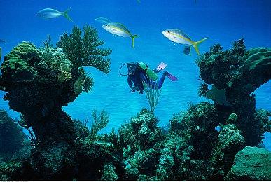 《十三机兵防卫圈》NS官方中文网站上线 特典内容公布